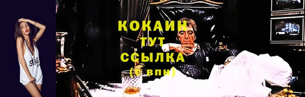 Альфа ПВП Вязьма