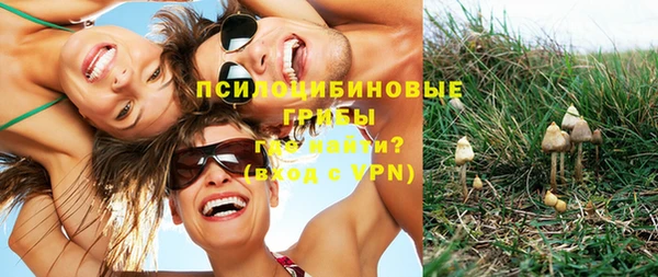 героин Вяземский