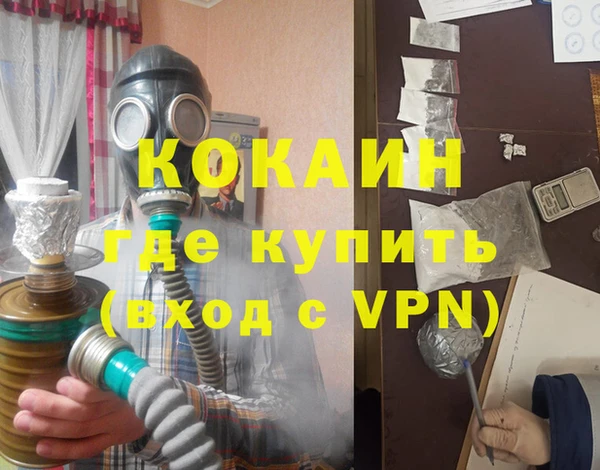 дурь Бородино