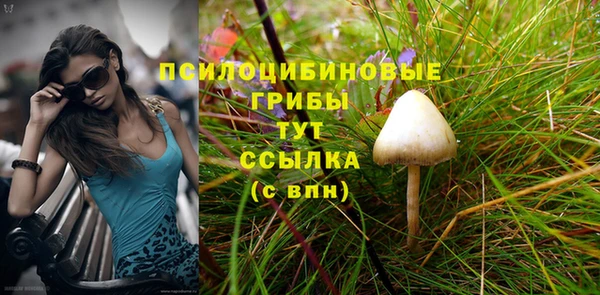 Альфа ПВП Вязьма