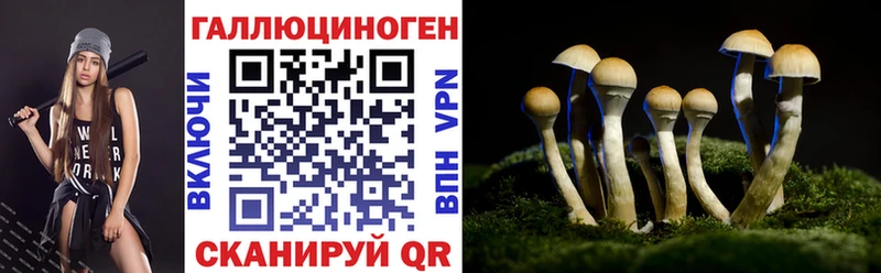 kraken ТОР  Ирбит  Псилоцибиновые грибы Cubensis 